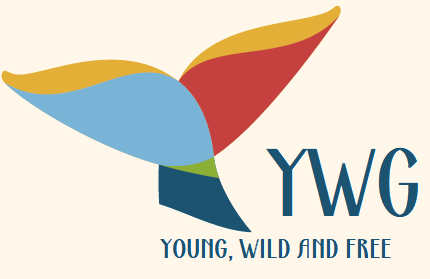 Logo de YWG Turismo}